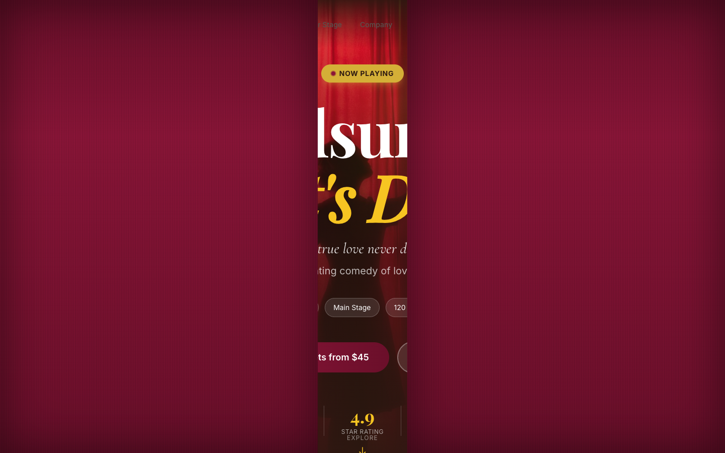 Theater Template Preview